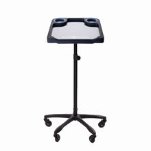 Load image into Gallery viewer, Braids &amp; Freckles • Magnetic Colorist Small Tray • Black
