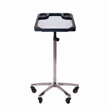 Load image into Gallery viewer, Braids &amp; Freckles • Magnetic Colorist Small Tray • Chrome
